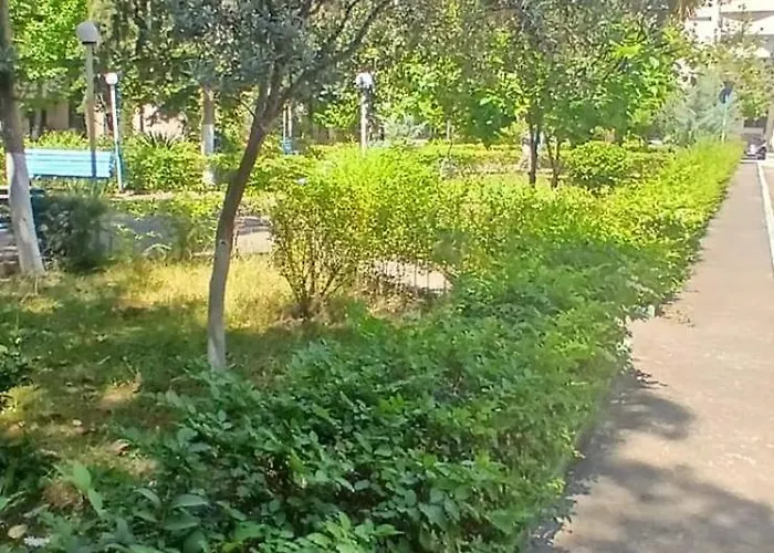 Albana's Duplex Golem (Tirana)